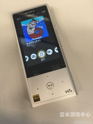 亚洲精品无播放器播放，技术革新与用户体验的双赢之道亚洲精品无播放器播放器